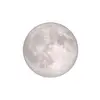🌕evangeline🌕 - @evangeline..moon - TikTok