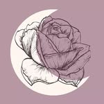 Evangeline Moonflower - @evangelinemoonflower - Instagram