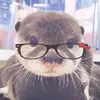 Evangeline Moore - @evangeline.moore - TikTok