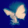 Evangeline - @evangelineev - TikTok