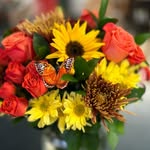 Evangeline Flowers - @evangelineflowersottawa - Instagram