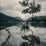 Evangeline Park - @evangelinepark11 - Instagram