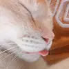 EvangelIna SerNa' - @evangelinaserna1 - TikTok