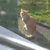 evangelines_small_zoo - @evangelines.small.zoo21 - TikTok