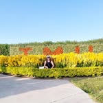 Evangeline Wang - @evangelinewang27 - Instagram