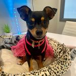 Evangeline Woods - @legally_evangeline - Instagram