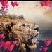 Evans Pierre - Facebook