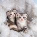 Evans Williams - Facebook