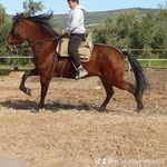 Evaristo Jiménez 123 - @evaristo_jimenez_678 - Instagram
