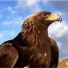 evaristomorales0 - @evaristo.morales365 - TikTok