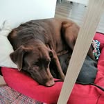 Dante Evaristo Pernía Quintero - @dantealabsjourney - Instagram