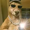 evaristocquintero - @evaristocquintero - TikTok