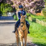 𝐄𝐯𝐞 𝐛𝐚𝐫𝐭𝐨𝐧 🇬🇧 - @evebartoneventing_ - Instagram