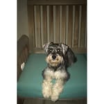 Eve Beck - @evebeck.11 - Instagram
