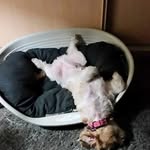 Eve Becker - @beckere65 - Instagram