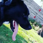 Eve Beckers - @beckerseve - Instagram