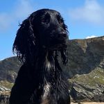 @evebenson.priv8 - Instagram