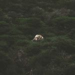 Eve Berman - @eve.berman.386 - Instagram