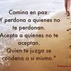 evelynberman426 - @evelynberman426 - TikTok