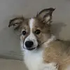 Eve_Blackwell - @eve_blackwell - TikTok