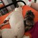Eve Bolin - Facebook