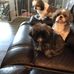 Eve Bower - Facebook