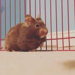 evebowerman - @ecbower2007 - Instagram