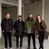 every branch - @every.branch.band - TikTok