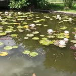 Evebright - @evebrightt - Instagram