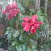 Eve Brito - Facebook