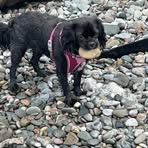 Eve Broughton - Facebook