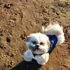 eve Broughton  - @eve.bro1710 - TikTok