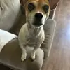stevebroussard - @stevebroussard419 - TikTok