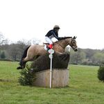 Purdey Browning - @purdeybrowningeventing - Instagram