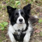 Eve and Bruce - @eve_and_bruce - Instagram