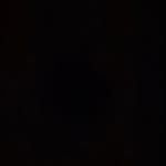 Bryson Bevers - @bryson.bevers - Instagram