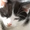 Eve Buchanan - @eve.buchanan7 - TikTok
