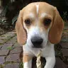 Evelyn Burkhardt - @evelynburkhardt - TikTok