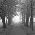 BenningtonGrange - @burroughseveuw - Instagram