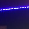 Eva Burroughs - @not.that.funny.eva - TikTok