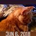 Eva Butcher - Facebook