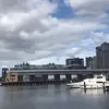 evelyncalvert3 - @evelyncalvert - TikTok