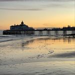 Eve Carey Photography - @eve.photos99 - Instagram