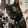 eve carr - @evecarrdesigns - TikTok