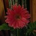 Eve Casper - Facebook