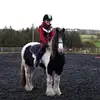 Eve🐴🐏🌾 - @eve.casperx7 - TikTok