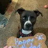 Eve_charles - @eve_charles - TikTok