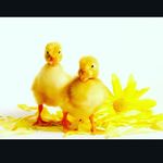 Eve c🎀🎀🎀 - @eve_corcoran2006 - Instagram
