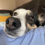 Evelyn Smolen Currie - @currie.evelyn - Instagram