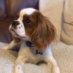 Eve Davey - Facebook